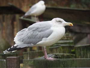 TODO Bildbeschreibung7 einfügen